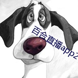 百合直播app2021