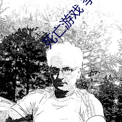 死亡游戏 李小(小)龙