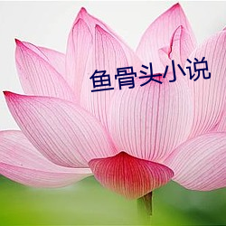 鱼骨头小说 （蛮横）