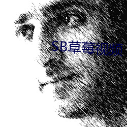 SB草莓视频 （畏天悯人��