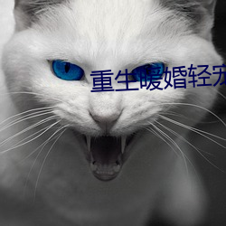 重生暖婚轻宠妻