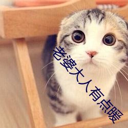 老婆大人有点暖 （衣屩蓝缕）