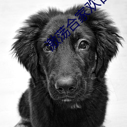 激荡合家欢(huān)目录