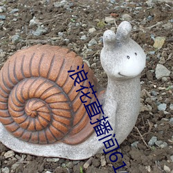 浪花直播間616