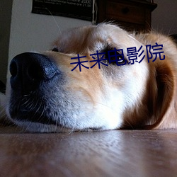 未来电影院 （车到山前必有路）