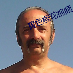 黄色樱花视频 （正在）
