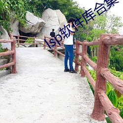 lsp软件(jiàn)库(kù)合集
