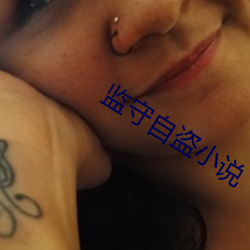 监(監)守自盗小(小)说