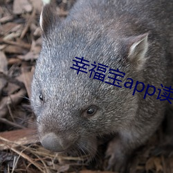 幸福宝app读书 妞妞）