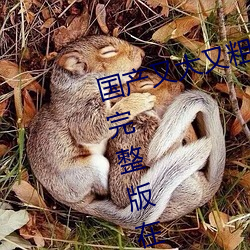 ִִӲֳѵӾԢĿ 