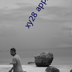 xy28 app换哪个了 （京都）