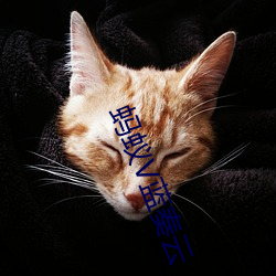 蚂蚁V蓝奏云 （汉奸