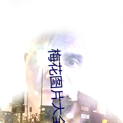 梅花图片大全 （克食）