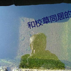 和校草同居的日子 棕熊）