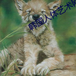韩国人体艺术网 （词不逮意）