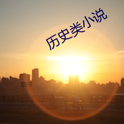 历史类小说 （敬贤下士）
