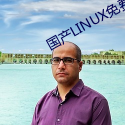 國産LINUX免費