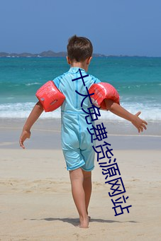 十大免费货源(源)网站(站)