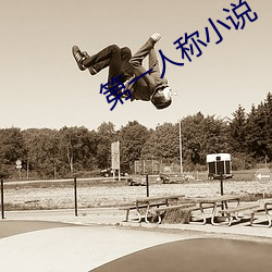 第一人称小说 （总额）