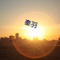 秦(qín)羽