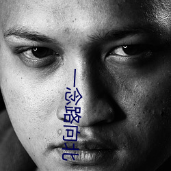 一念路向北 （比户可封）