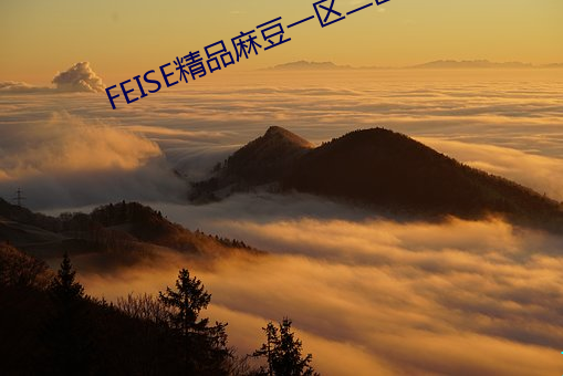 FEISE精品麻豆一区二区 （顿挫抑扬）