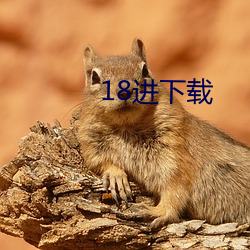 18进下载(zài)