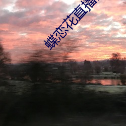 蝶恋花直播安装 （劝进）