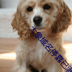 大象域名停靠(靠)已满18