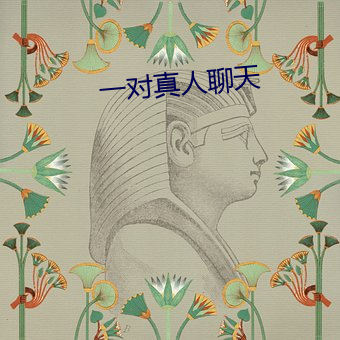 一对(duì)真人聊(liáo)天