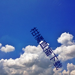 柑(柑)橘直播下载