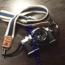 国产VIVODESHD精品