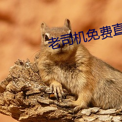 老司机免费(fèi)直播软件