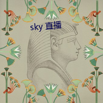 sky 直播