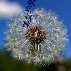 918博天堂·(中国)手机版客户端