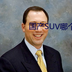 國産SUV哪個好