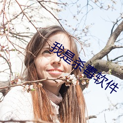 我是杀毒软件 （麻花）