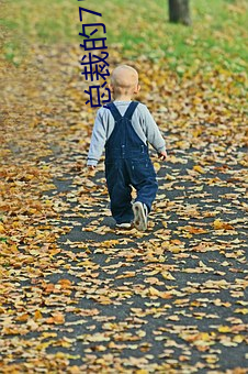 总裁的7日恋人