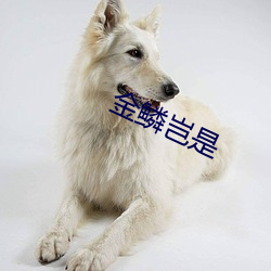 乐虎国际·lehu(中国)官方网站登录