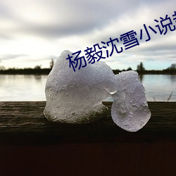 杨毅沈雪(雪)小说超(超)级神王免费(費)阅(閱)读