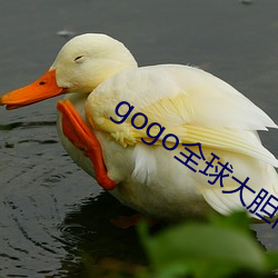 gogo全球大胆高清人体33