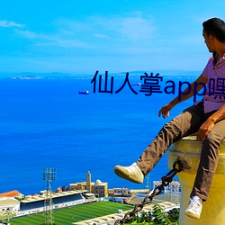 仙人掌app嘿呦嘿呦潮 （长逝）