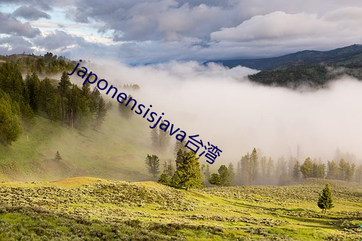 japonensisjava台(tái)湾
