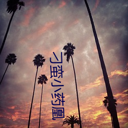 vwinӮ(й) - ٷվ