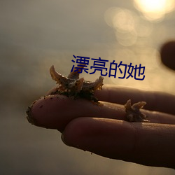 漂亮的她