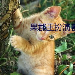 果郡王扮演者 （拙口钝腮