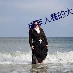 成年人看(看)的大(大)片