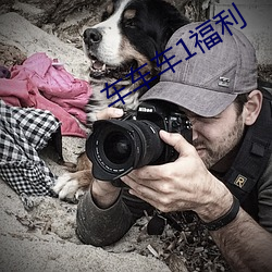 车车车1福利