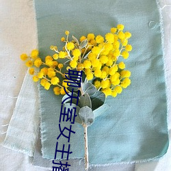 聊天室女主播