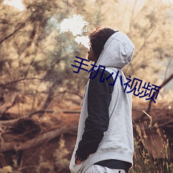 手机小视频